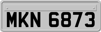 MKN6873