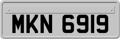 MKN6919