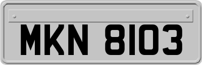 MKN8103