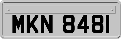 MKN8481