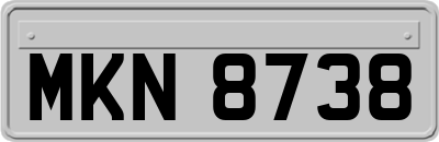 MKN8738