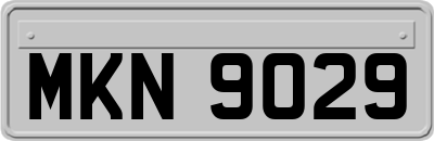MKN9029