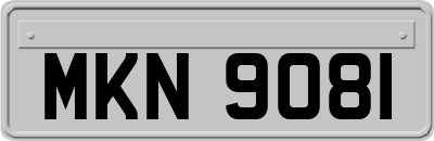 MKN9081