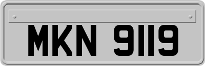 MKN9119