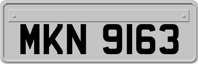 MKN9163
