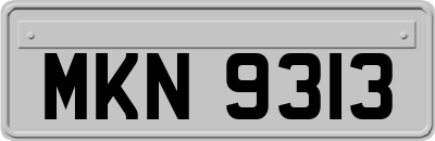 MKN9313