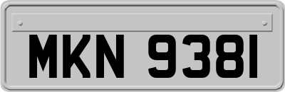 MKN9381