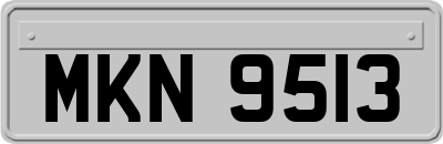 MKN9513