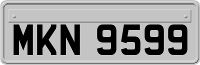 MKN9599