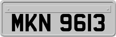 MKN9613