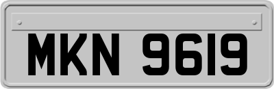 MKN9619