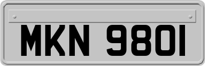 MKN9801