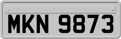 MKN9873