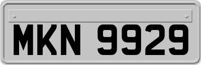 MKN9929