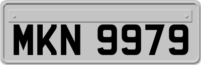 MKN9979