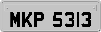 MKP5313
