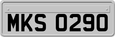 MKS0290