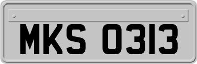 MKS0313