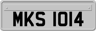 MKS1014
