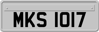 MKS1017