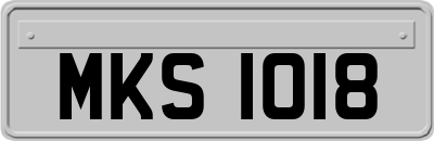 MKS1018