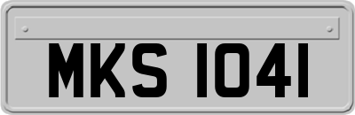 MKS1041