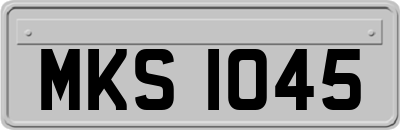 MKS1045