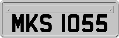 MKS1055