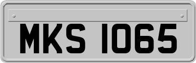 MKS1065
