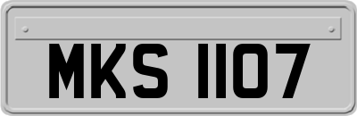 MKS1107