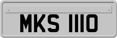 MKS1110
