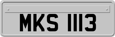 MKS1113