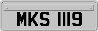 MKS1119