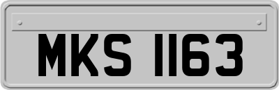 MKS1163