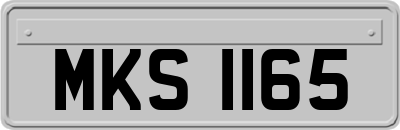 MKS1165