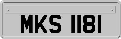 MKS1181
