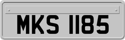 MKS1185