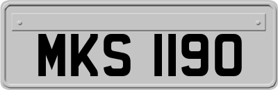 MKS1190
