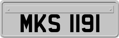 MKS1191