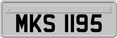 MKS1195
