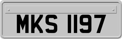 MKS1197