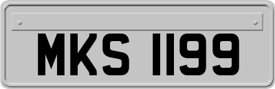 MKS1199