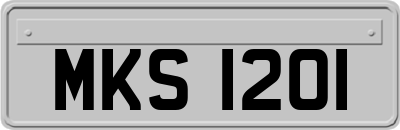 MKS1201