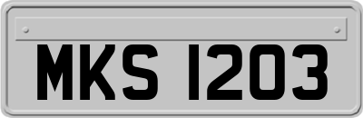 MKS1203