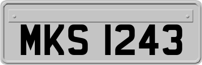 MKS1243