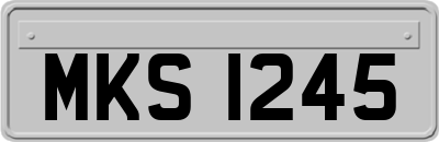 MKS1245