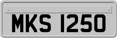 MKS1250