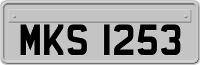 MKS1253
