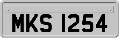 MKS1254