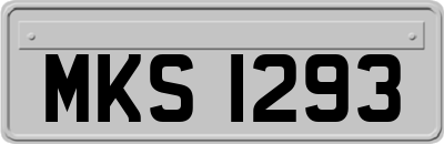 MKS1293